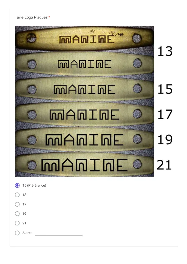 Extrait du BAT montrant plusieurs dimensions du logo Manine sur des plaques
